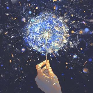 喜乐续订↬新程叠满烟火与星光