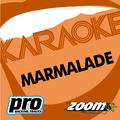 Zoom Karaoke - Marmalade