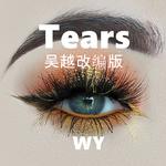 Tears 吴越改编版专辑