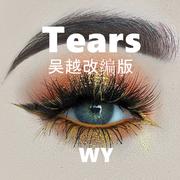 Tears 吴越改编版