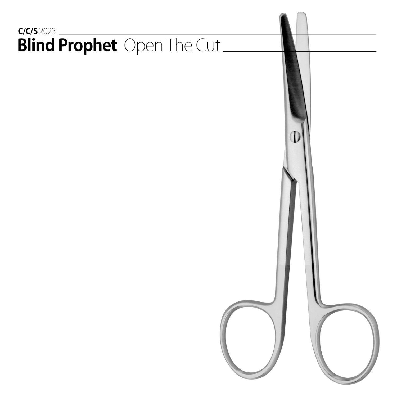 Blind Prophet