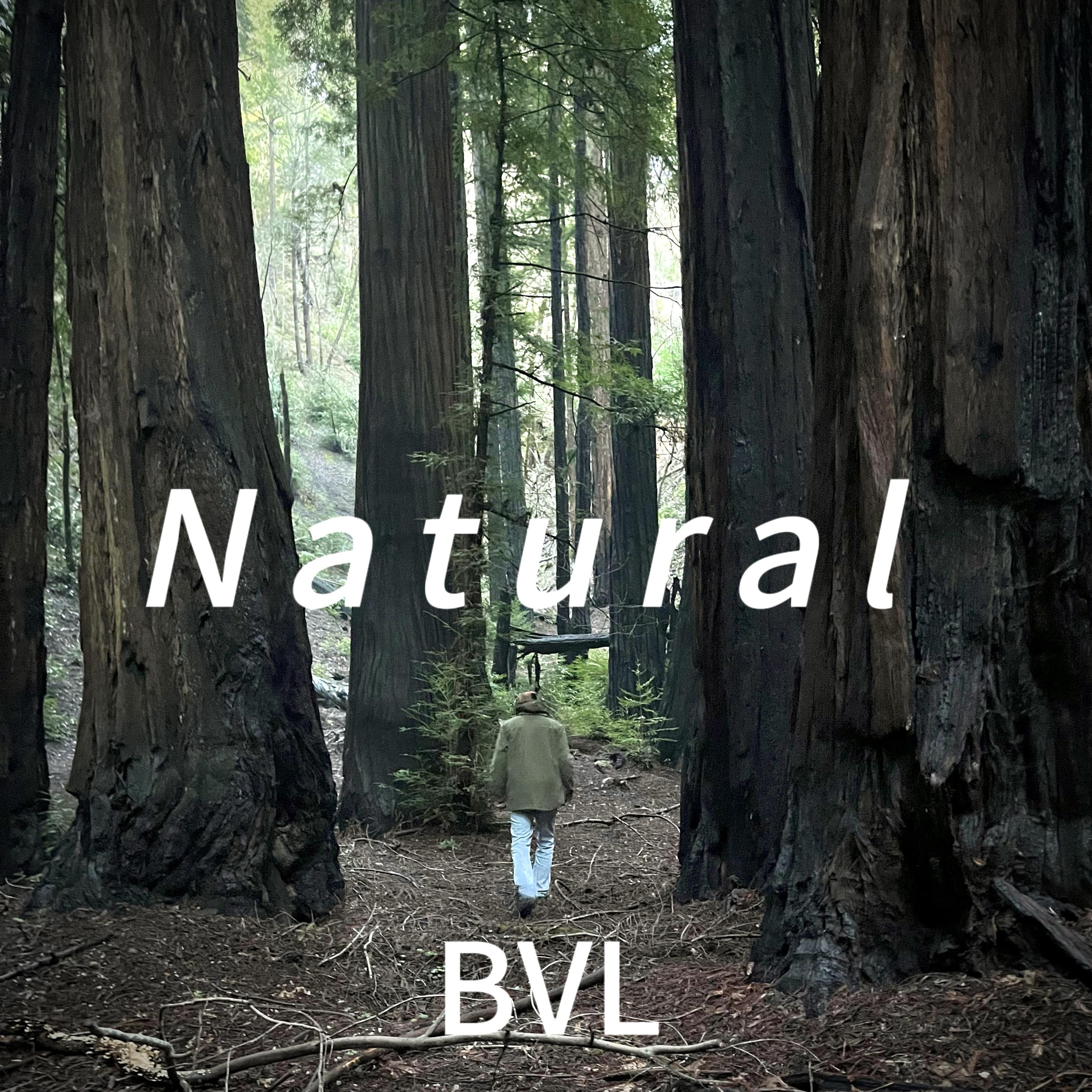 BVL - Natural