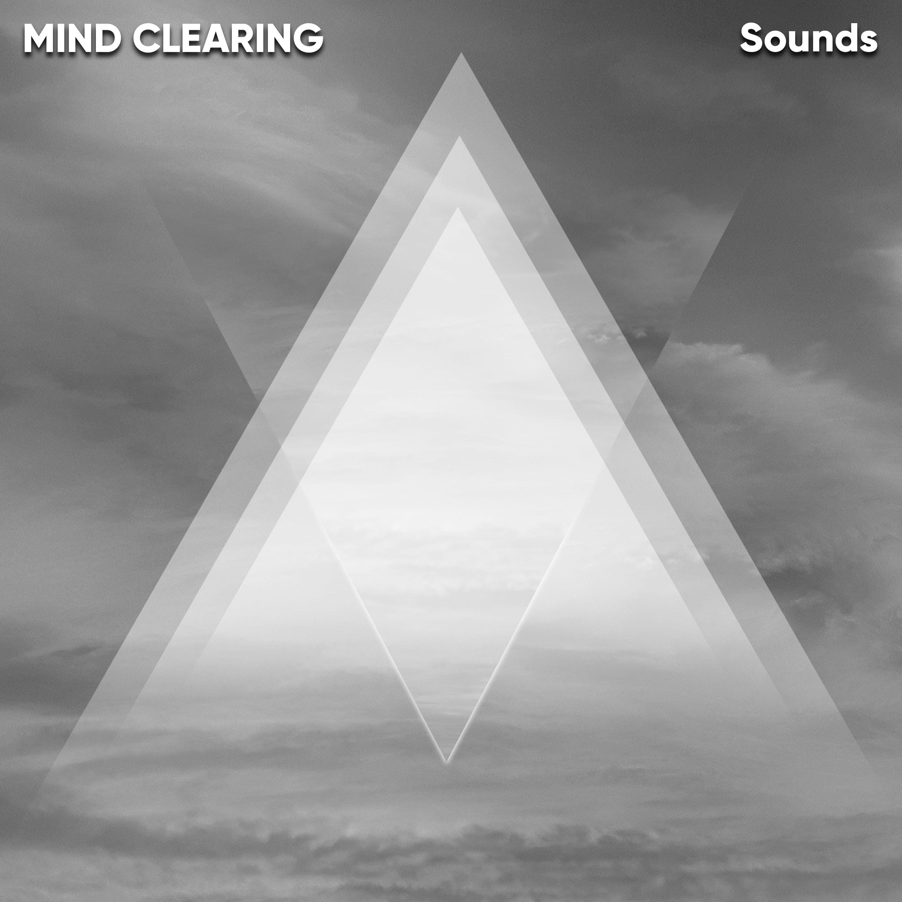 #21 Mind Clearing Sounds for Meditation and Sleep专辑