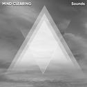 #21 Mind Clearing Sounds for Meditation and Sleep专辑