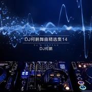 DJ何鹏舞曲精选集14