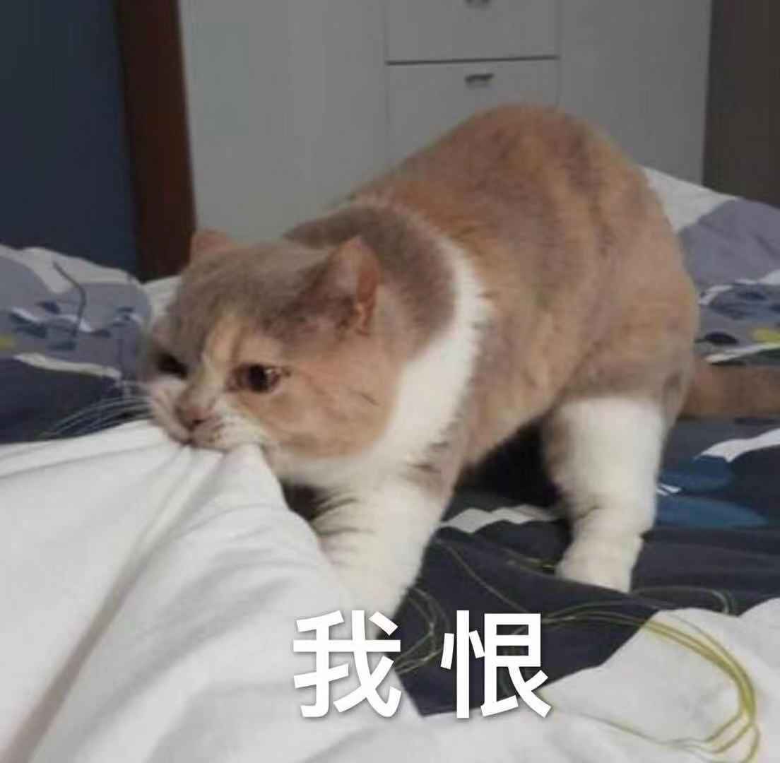 看我专辑