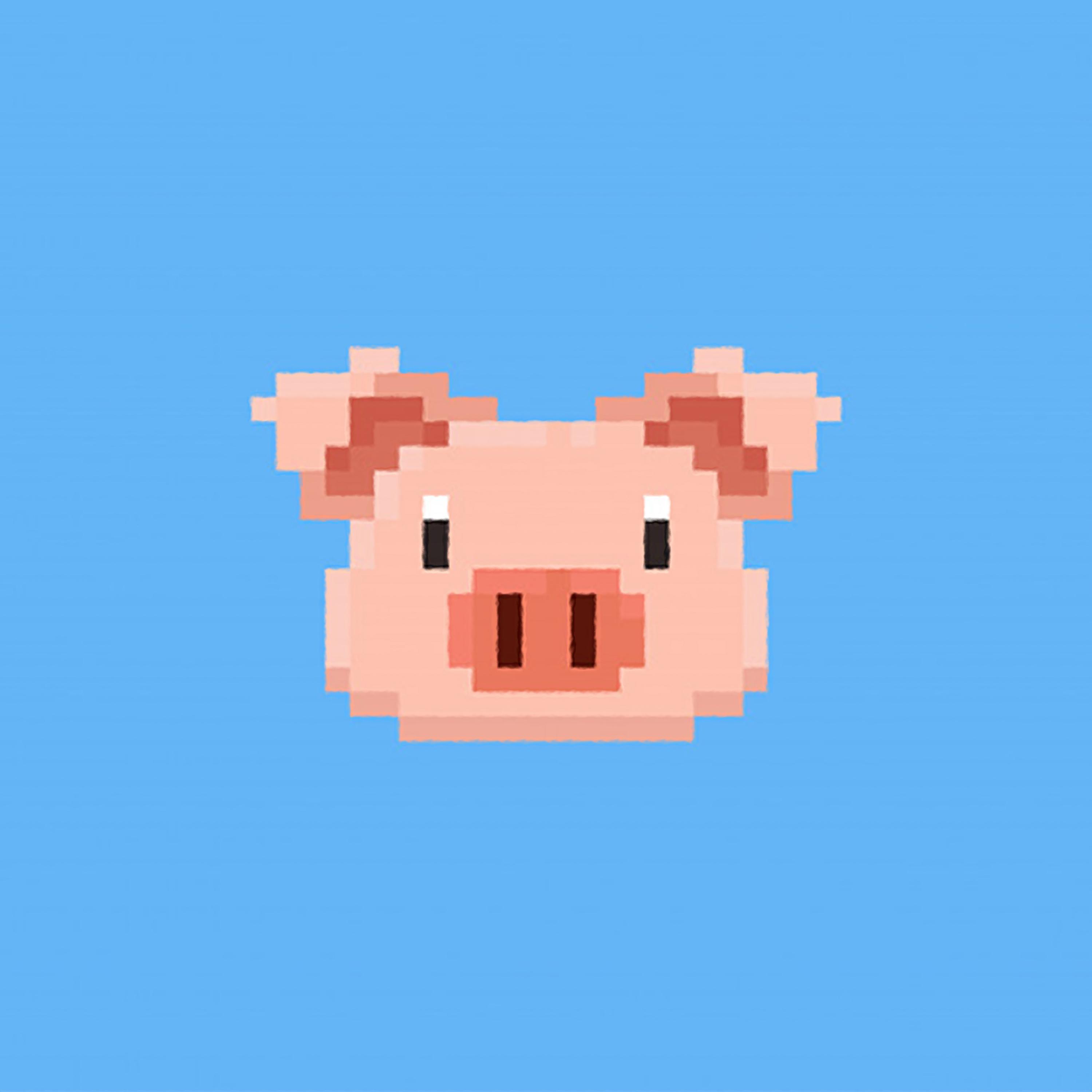 Pixel Pig