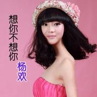 杨欢 - 想你不想你(原版立体声伴奏)