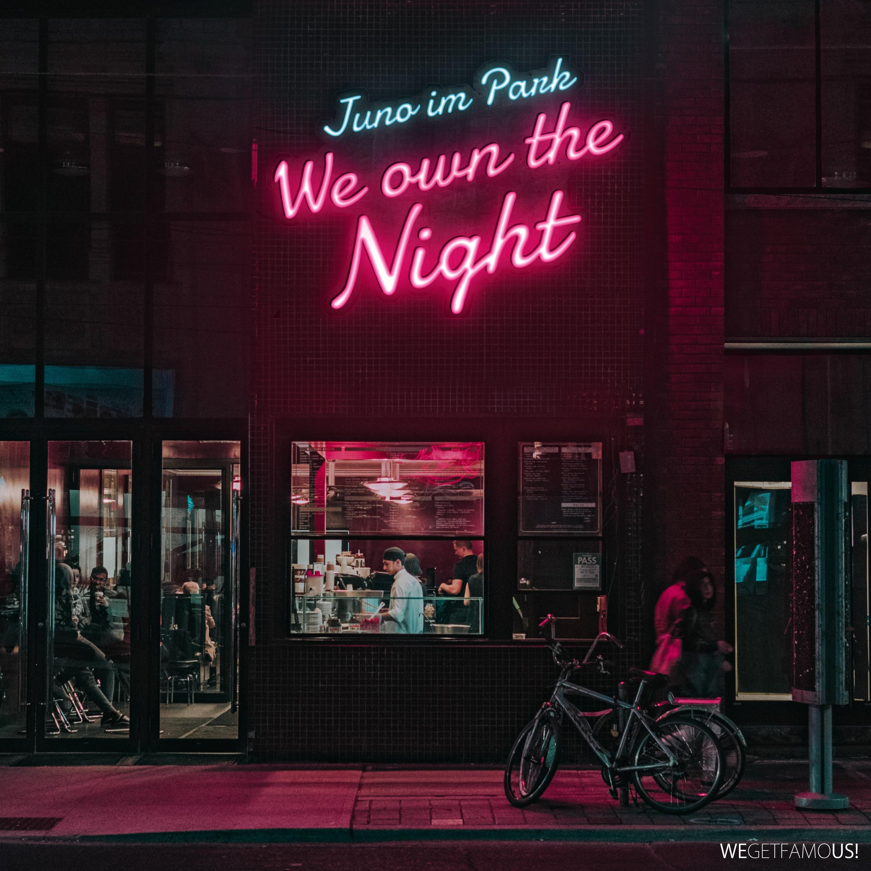 We Own the Night
