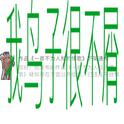 我鸟子很不屑（demo）专辑