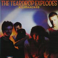The Teardrop Explodes - Reward (Karaoke Version) 带和声伴奏