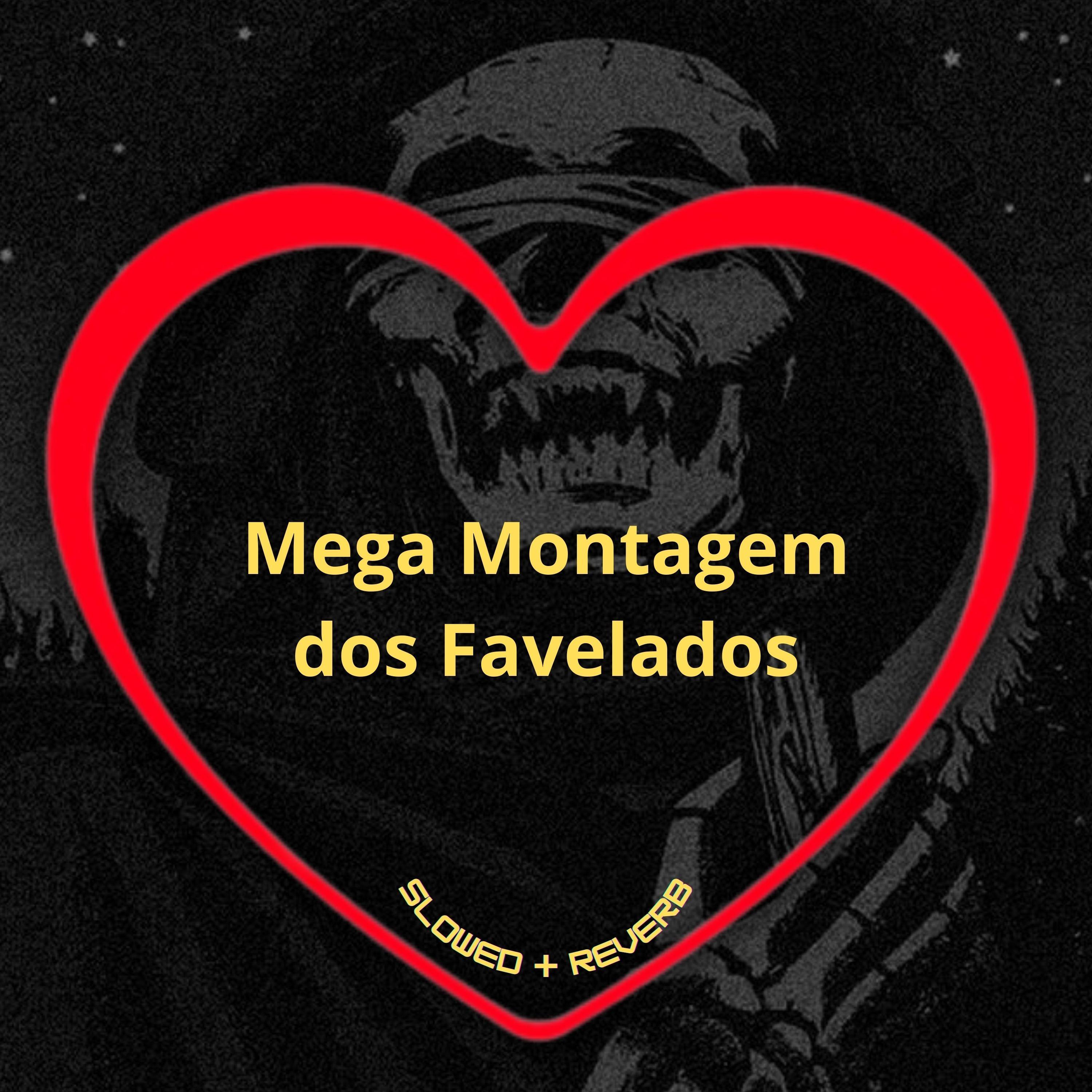 Love Fluxos - Mega Montagem dos Favelados (Slowed + Reverb)