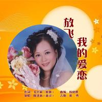 有爱的天涯不觉远(纯伴奏)D调