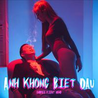 ANH KHONG BIET DAU - HIM RMX