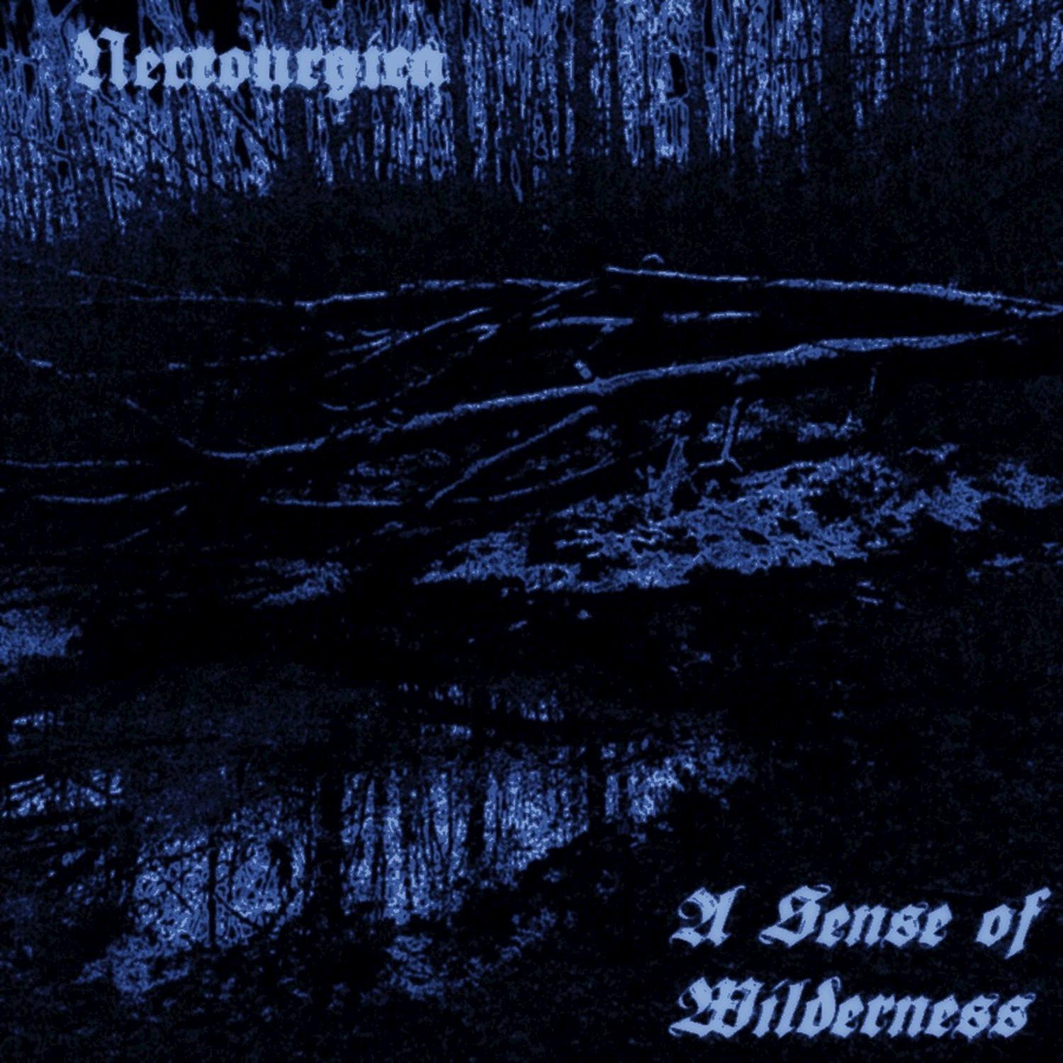 A Sense Of Wilderness / The Second Age Of Satan
