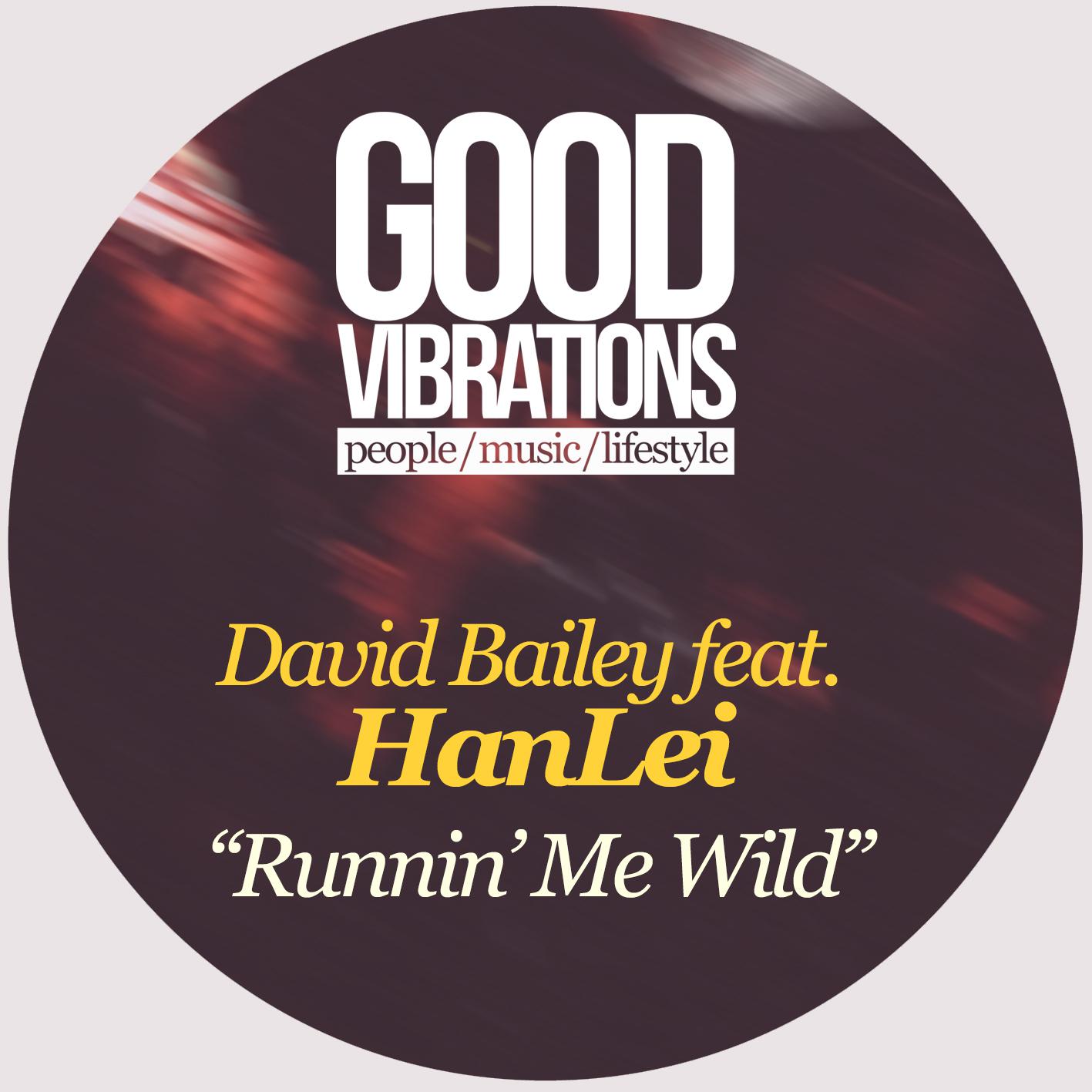 David Bailey - Runnin' Me Wild (Original Mix)