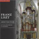 Franz Liszt (St. Maartenskerk, Zaltbommel)
