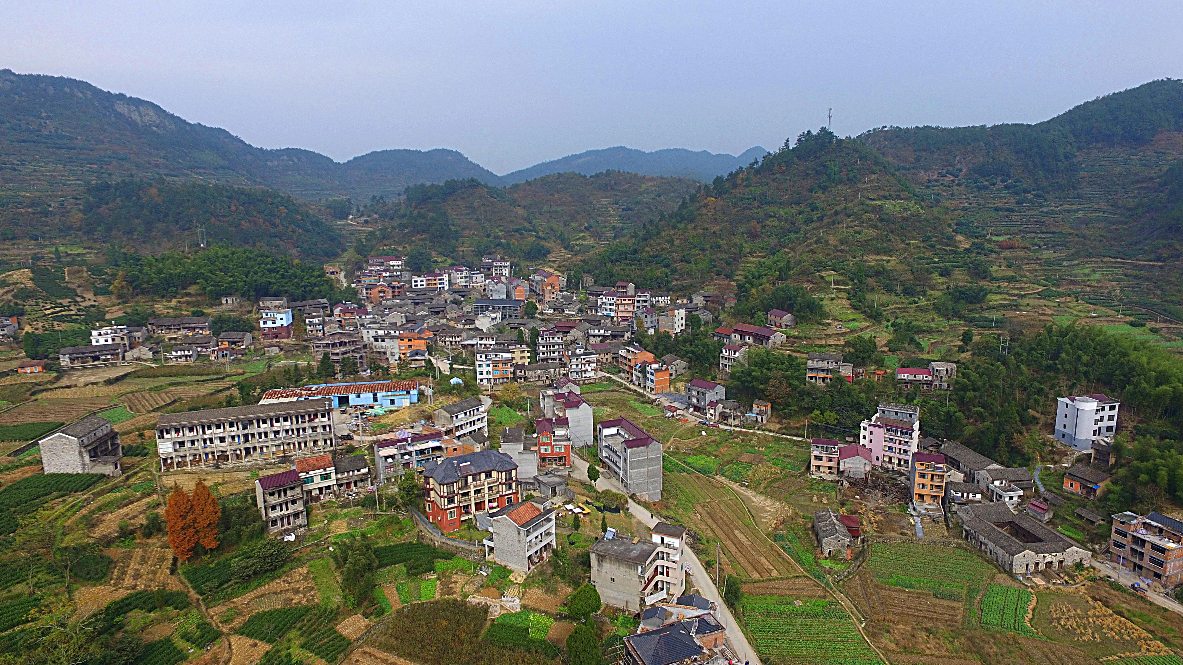 天台县雷峰乡白坭坦村歌专辑