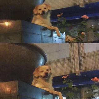 粤语啊