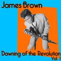 James Brown - Dawning Of The Revolution - Volume 1专辑