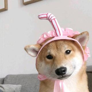 宝藏男孩 谓之太一❤︎