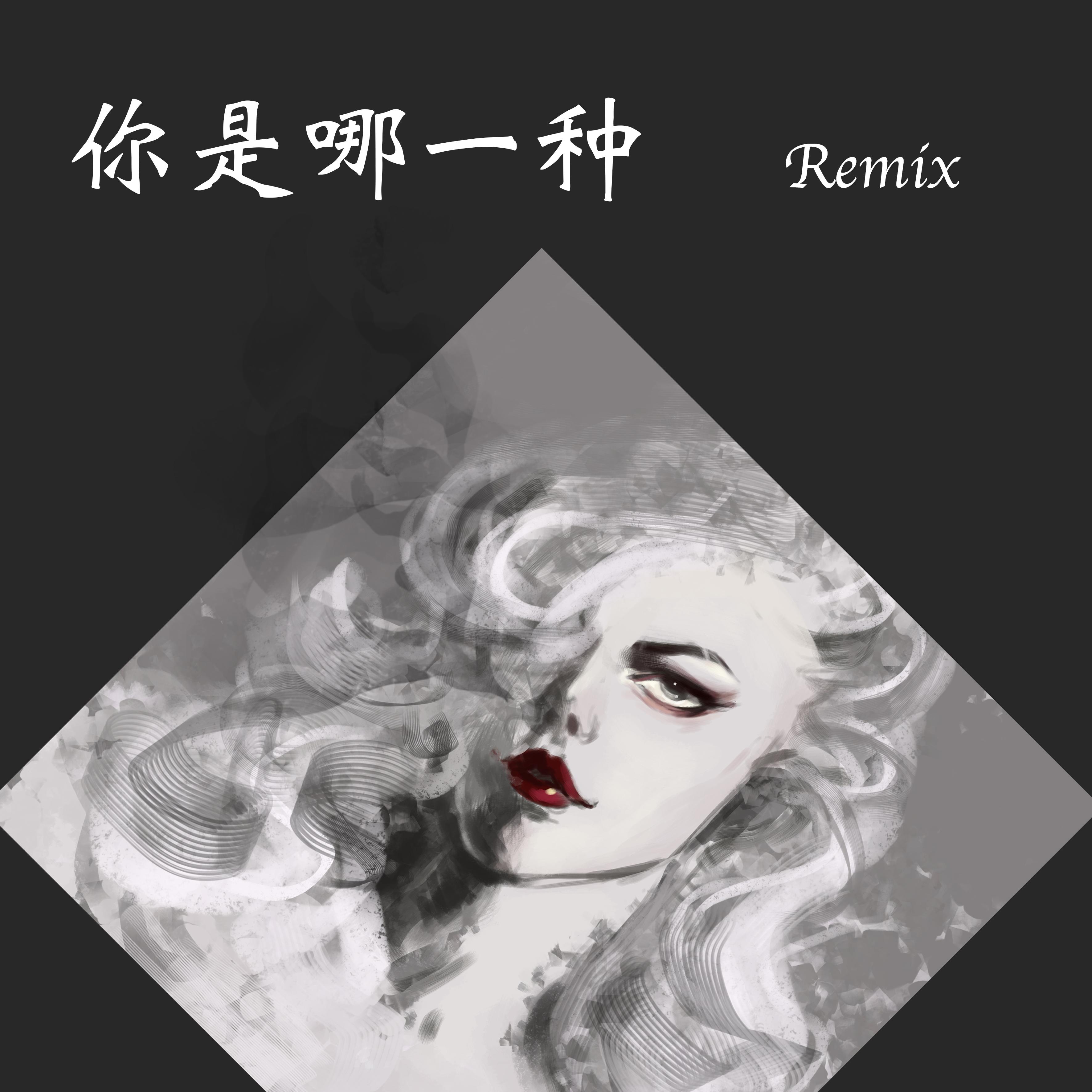 你是哪一种remix.feat MC555专辑