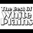 The Best Of White Plains