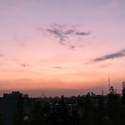 夜