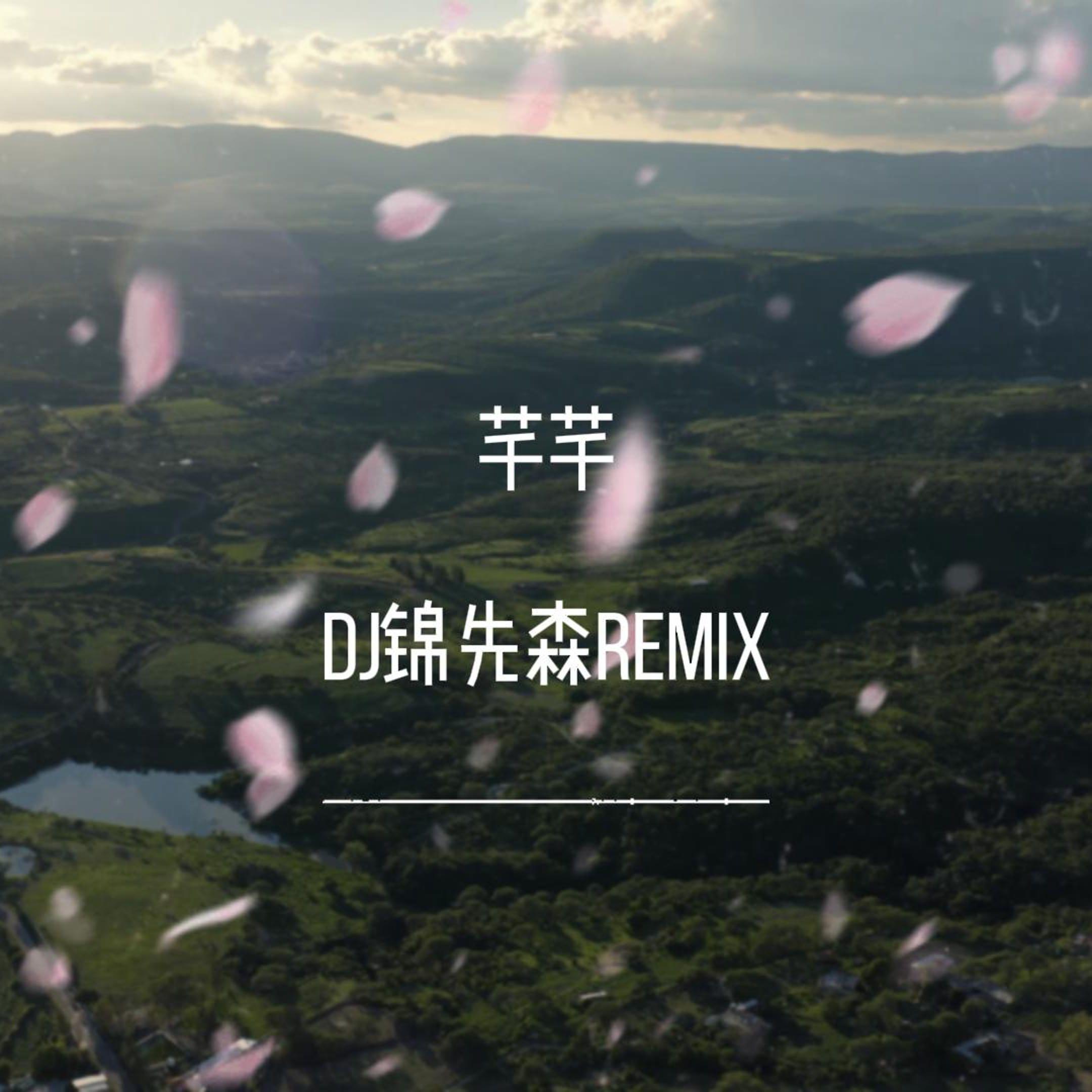 芊芊（DJ锦先森 Remix）