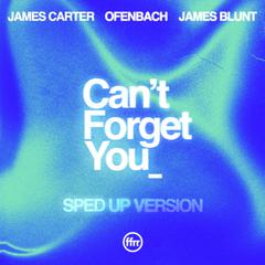 Can’t Forget You (feat. James Blunt) [Sped Up Version]