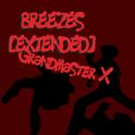 Breezes (feat. Light of Destiny) (Extended)专辑