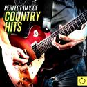 Perfect Day of Country Hits专辑