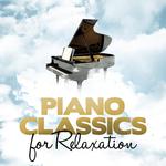 Piano Sonata in B-Flat Major, K. 333: I. Allegro