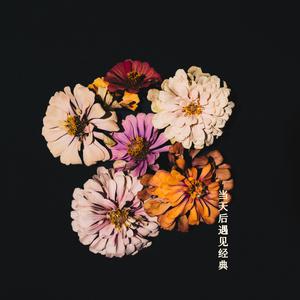 杨培安-黄河长江(Live)伴奏 经典咏流传