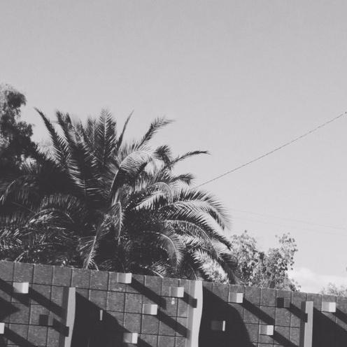Voili°