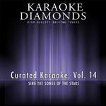 Curated Karaoke, Vol. 14专辑