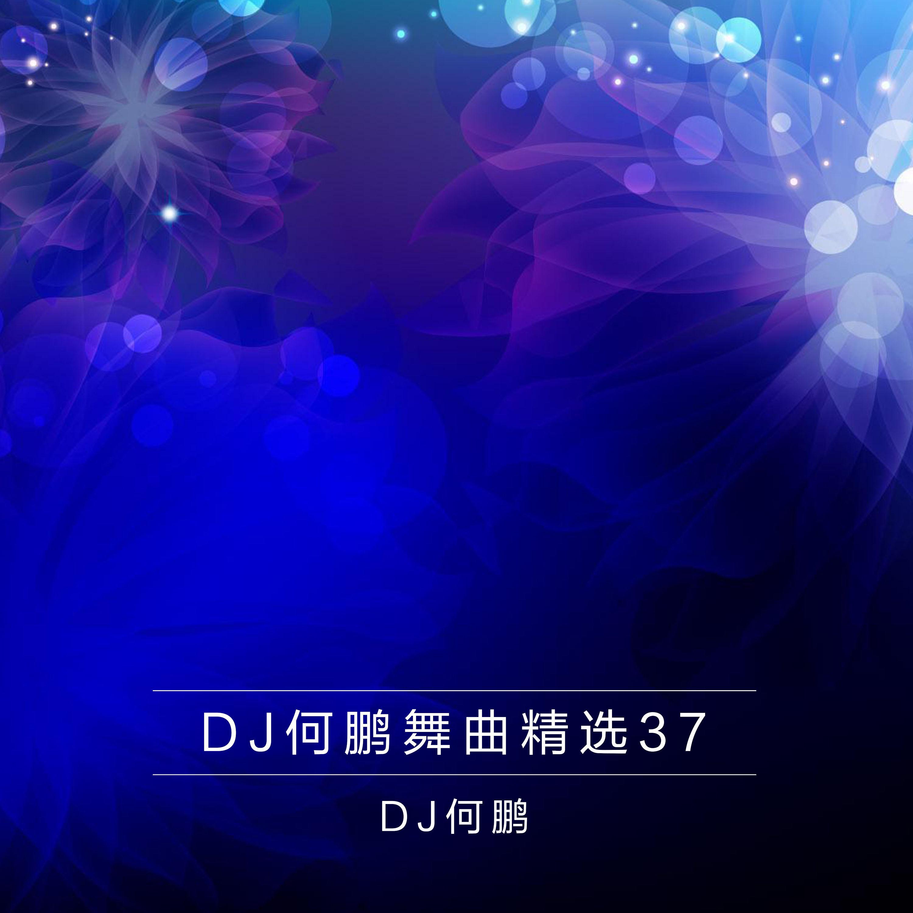 DJ何鹏舞曲精选集37专辑