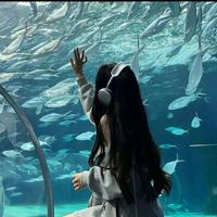 [DJ节目]舞动青春-DJ苏喂的DJ节目 第2457期