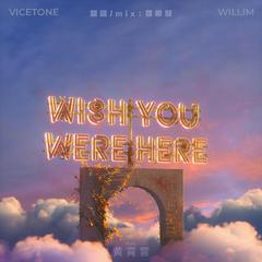 平行线（Wish You Were Here）