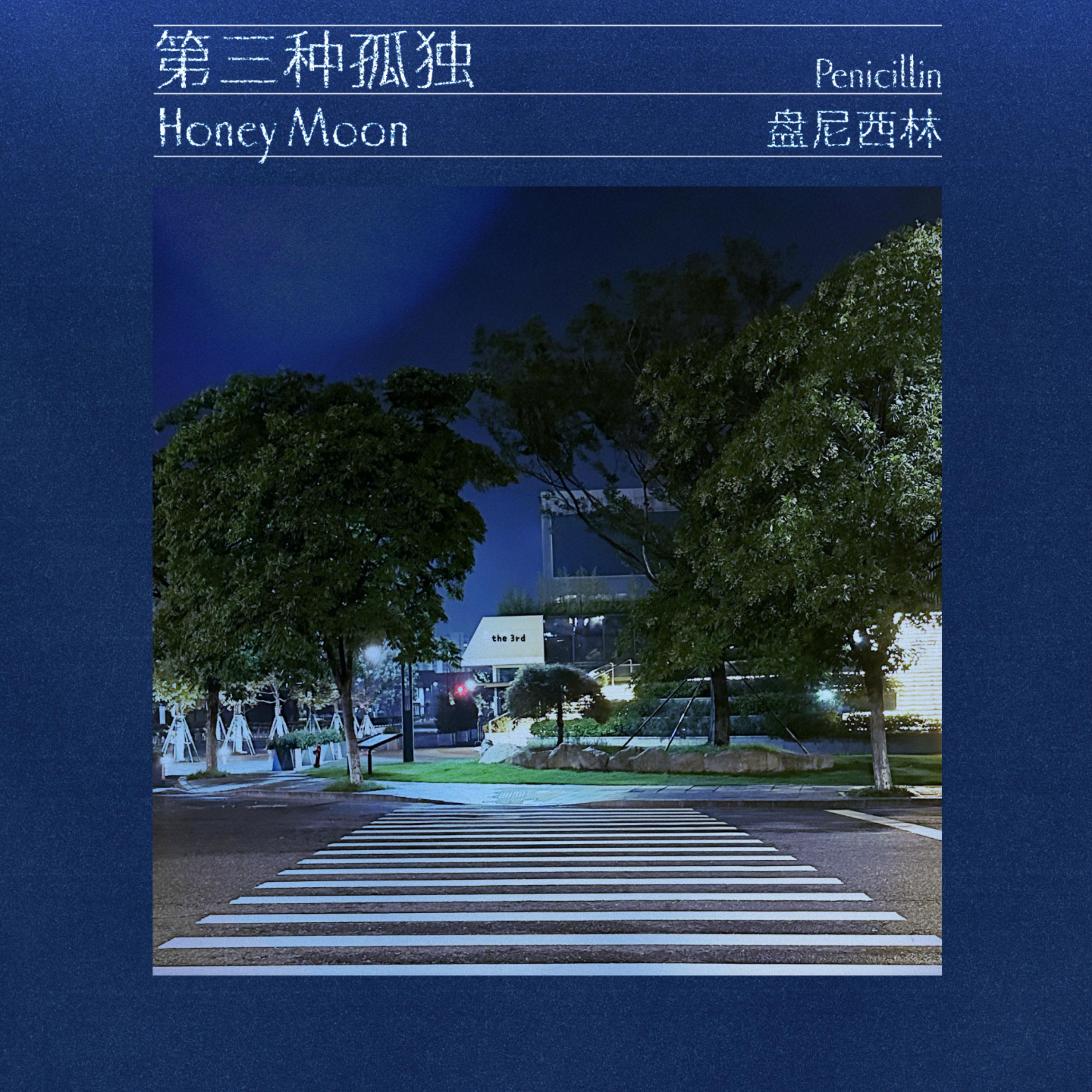 第三种孤独