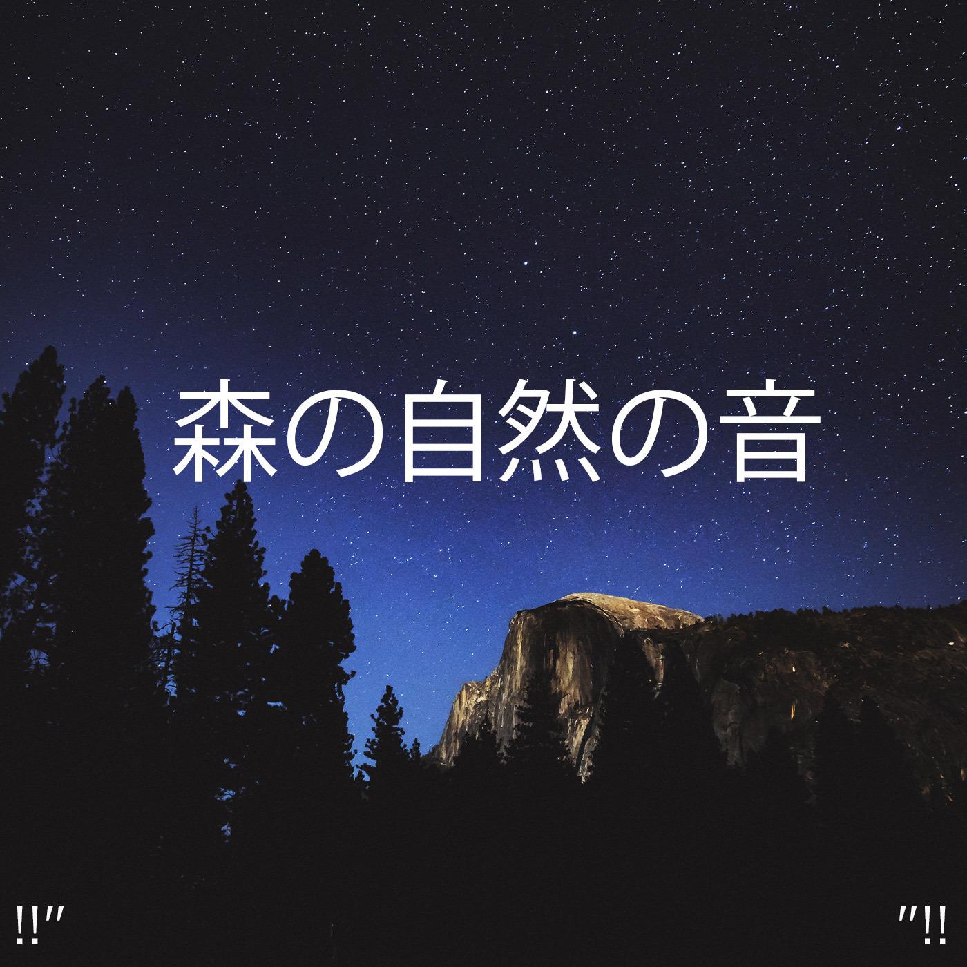 !!" 森の自然の音 "!!