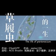 草履虫的一生 - ACE studio