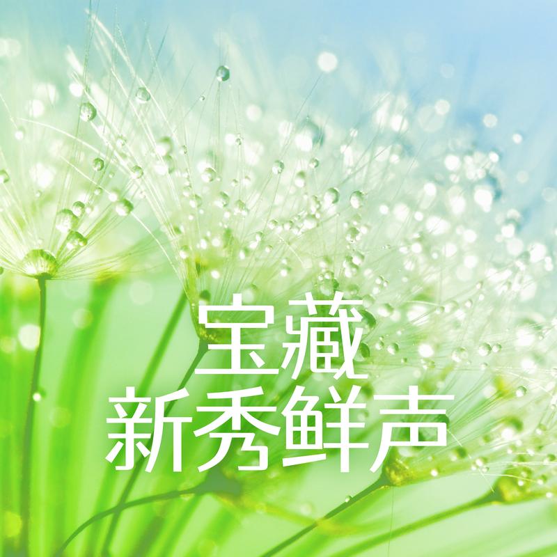 宝藏新秀鲜声