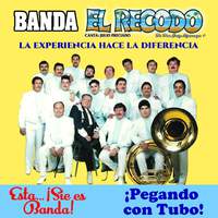 原版伴奏   Si Quieres - Banda El Recodo ( Karaoke ) （无和声）