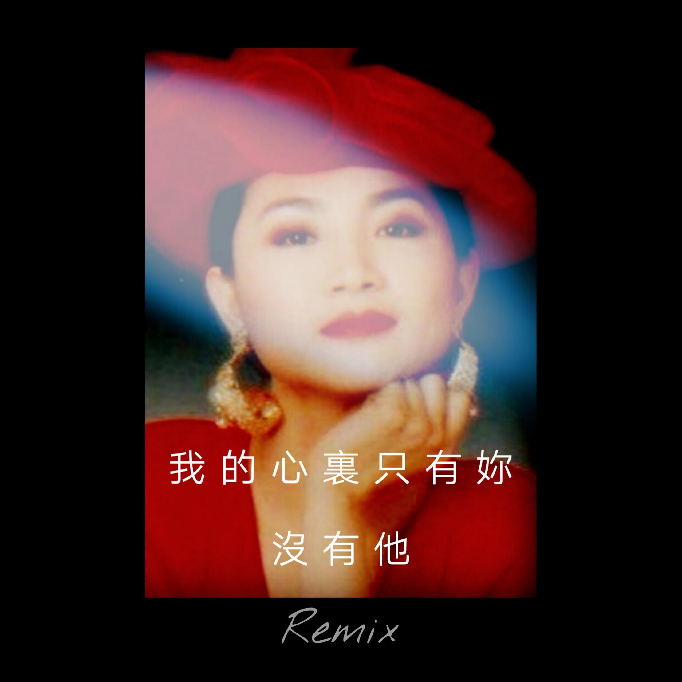 凤飞飞-我的心里只有你没有他(才仁青普力 remix)