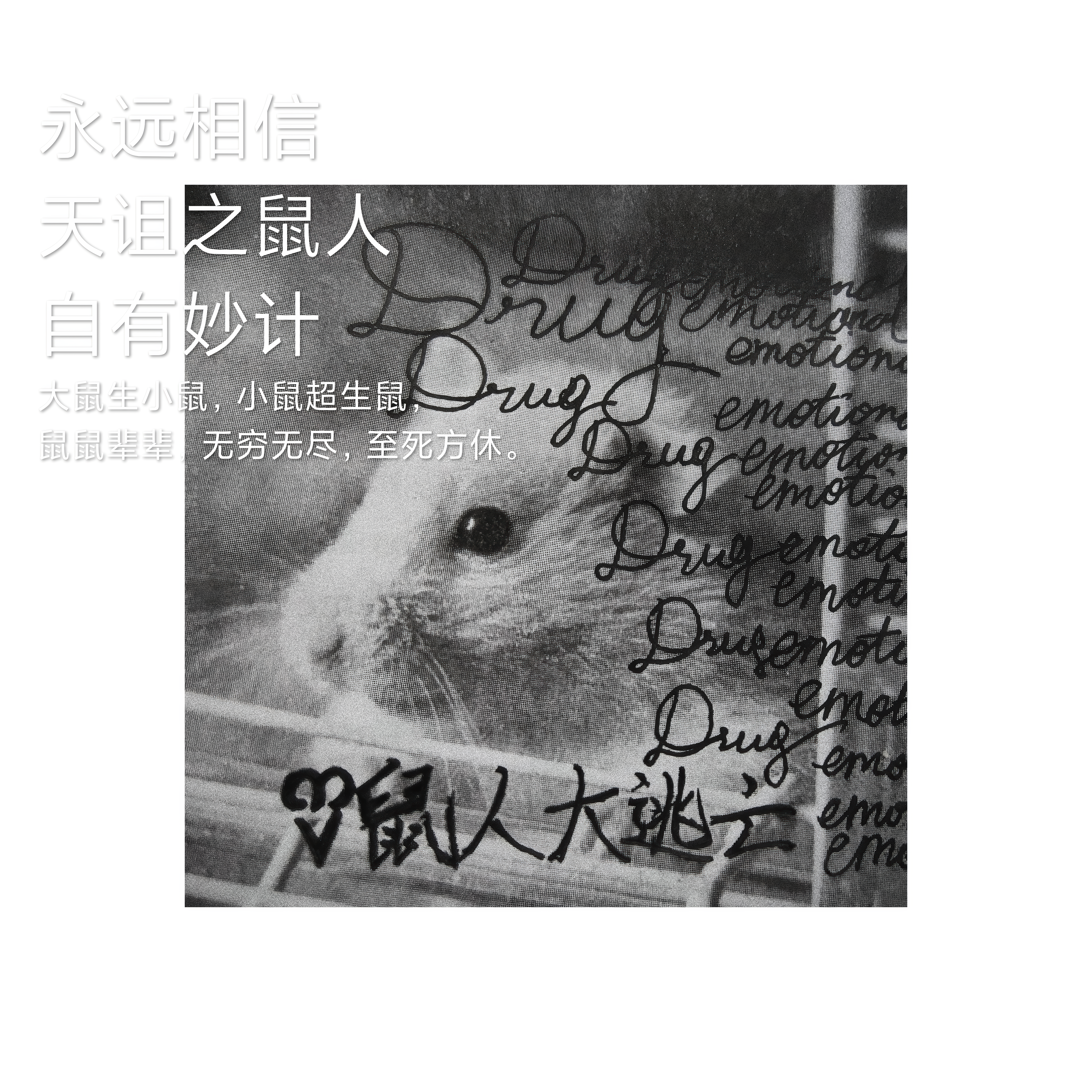 诽妄至上