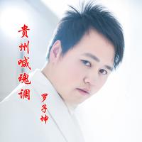 喊魂调(云贵山歌)dj伴奏-喊魂调(云贵山歌)dj伴奏