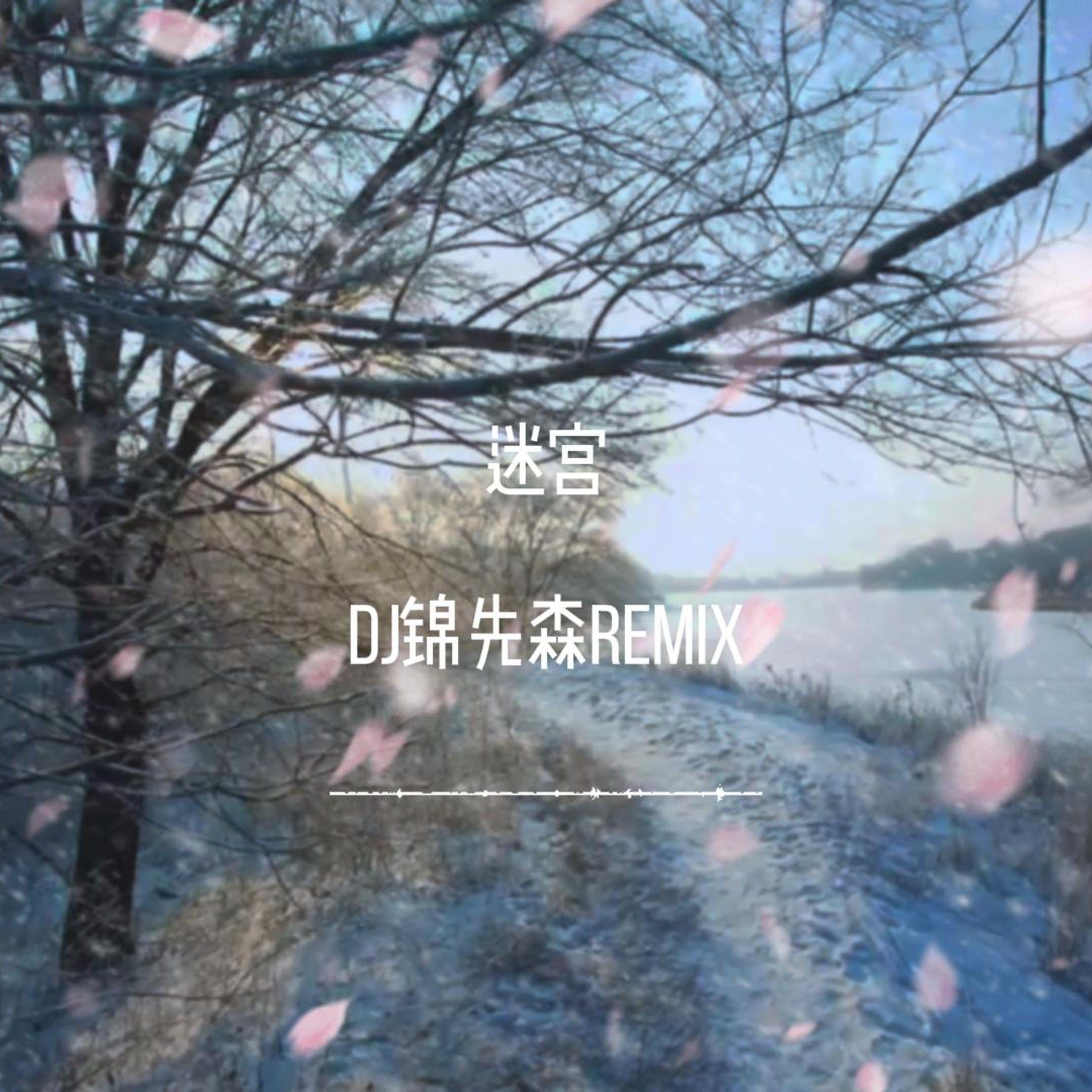 迷宫（DJ锦先森 Remix）