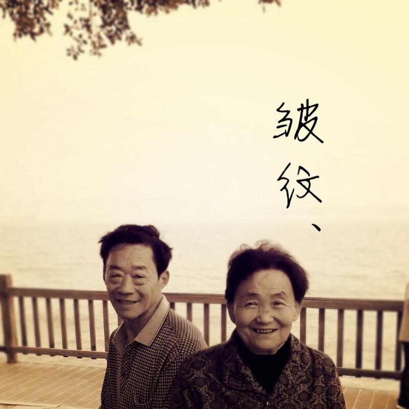 皱纹专辑