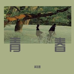 刘心宇 - 青春的回忆（DJ沈念版）(伴奏).mp3